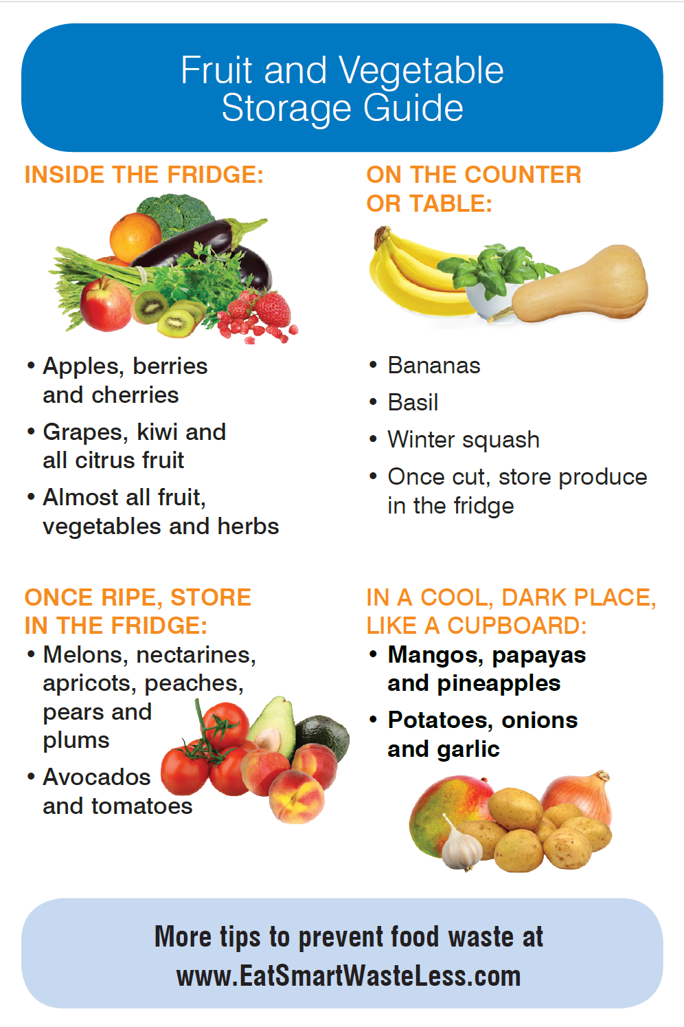 Infographic titled "Fruit and Vegetable Storage Guide" advising where to store various fruits and vegetables: in the fridge, on the counter, once ripe in the fridge, or in a cool, dark place.